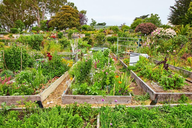 写真 花やサクレントのあるいくつかのコミュニティの庭園の広大な景色