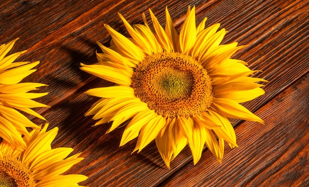 Wievzonnebloem bloemen op een houten achtergrond bovenaanzicht