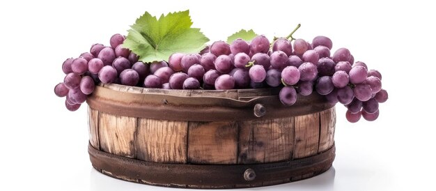 Wijn druiven in houten vat geïsoleerd op witte achtergrond in studio foto