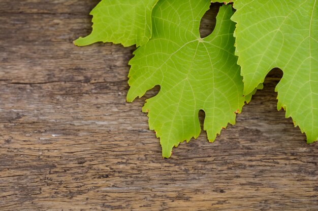Wijnbladeren op een bord combineren een natuurlijke schoonheid voor de achtergrond