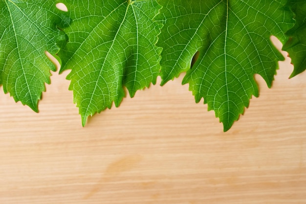 Wijnbladeren op een bord combineren een natuurlijke schoonheid voor de achtergrond