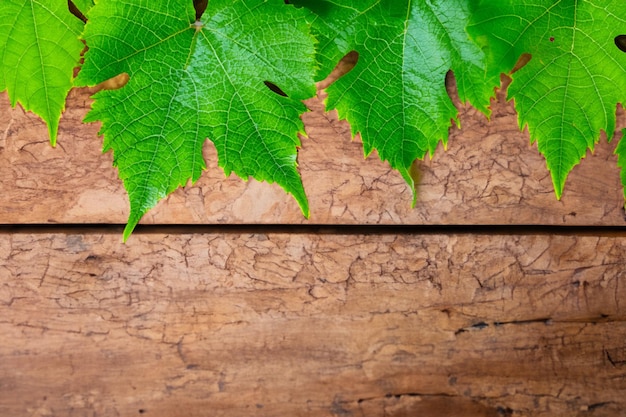 Wijnbladeren op een bord combineren een natuurlijke schoonheid voor de achtergrond