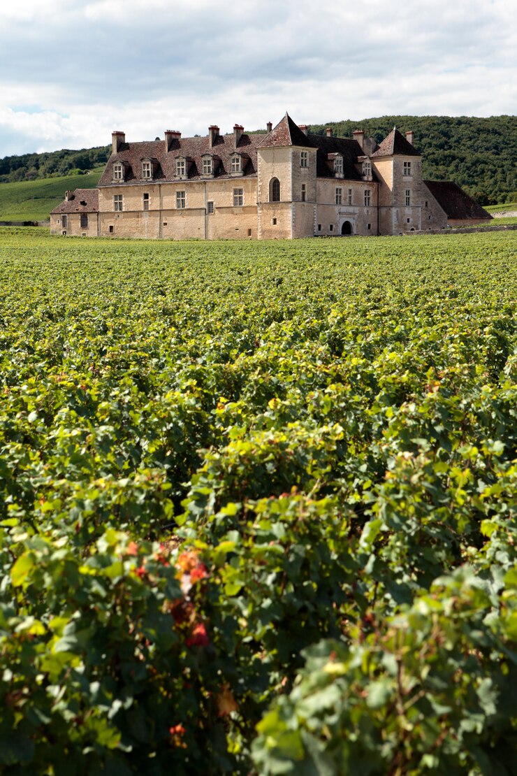 Foto wijngaardchateau bourgondië, frankrijk