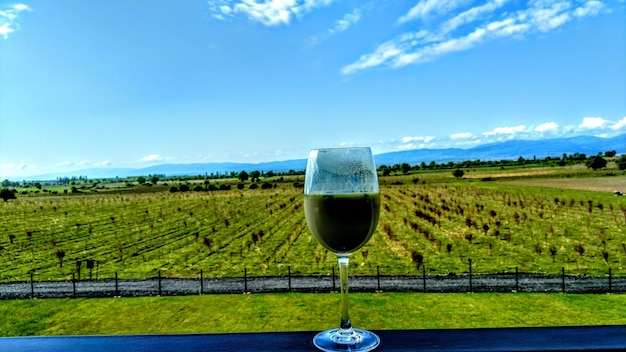 Foto wijnglas op het veld tegen de lucht