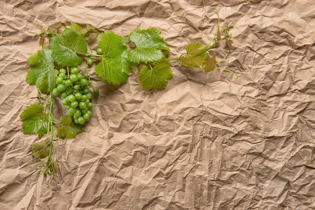 Wijnstok verlaat bloemenrand op gerecycleerd papier achtergrond