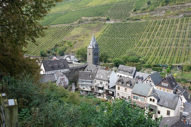 Foto wijnvelden tegen de achterkant van de stad.