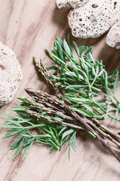 Photo wild asparagus and sea fennel