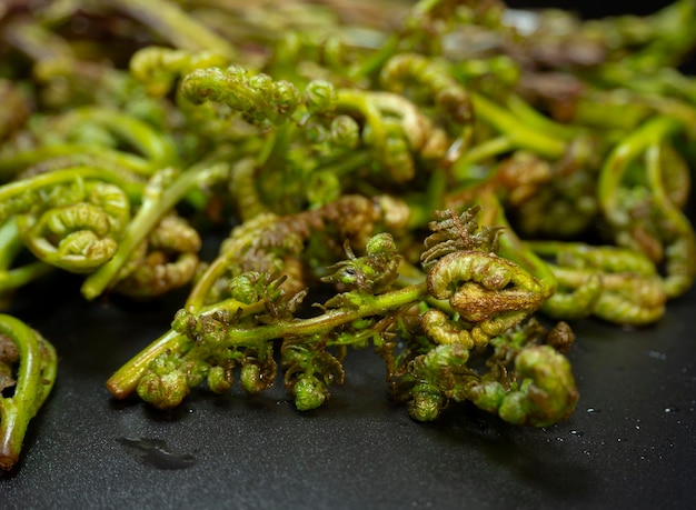 Wild asparagus stalks on a black background