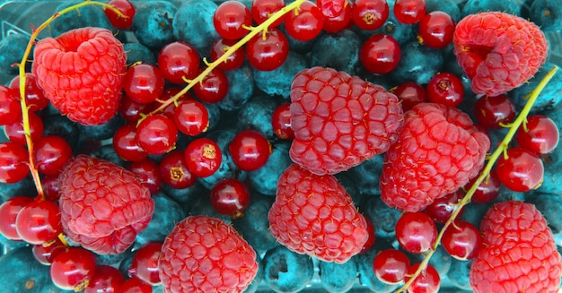 Foto sfondo di frutti di bosco