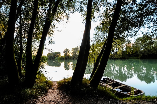 Wild Brenta River