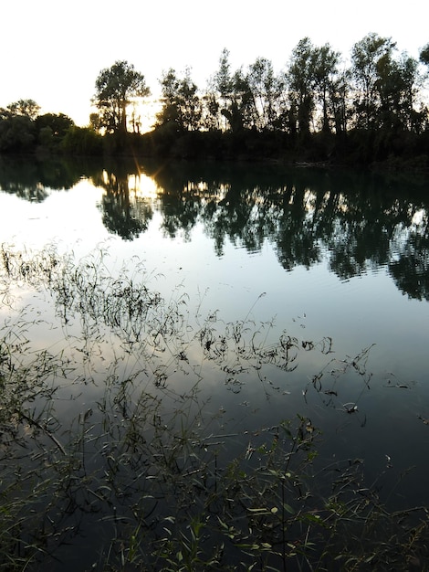 Photo wild brenta river