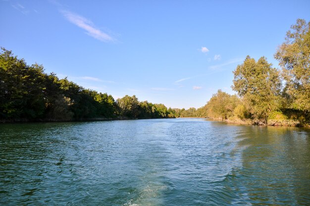 Wild Brenta River