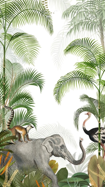 野生のゾウ png ジャングル 透明な背景