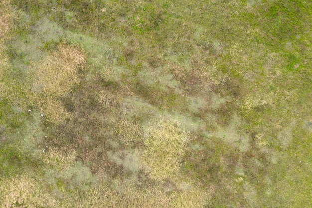 Photo wild field view from above summer background drone shooting