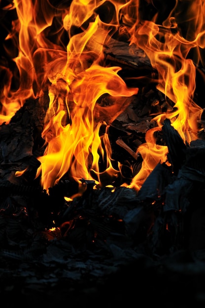 wild fire flames burn hot with black background