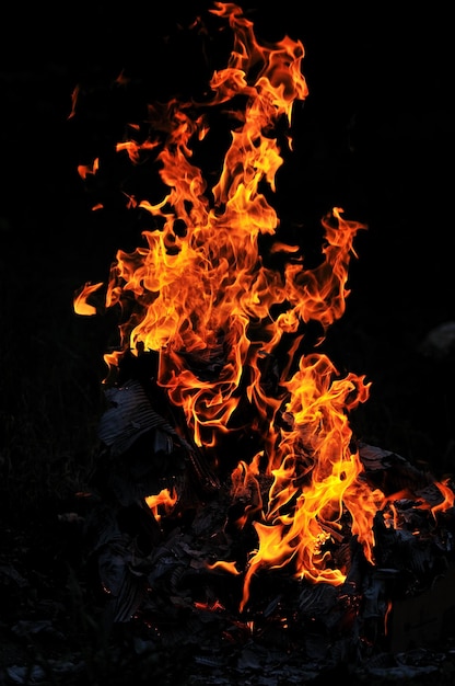 wild fire flames burn hot with black background