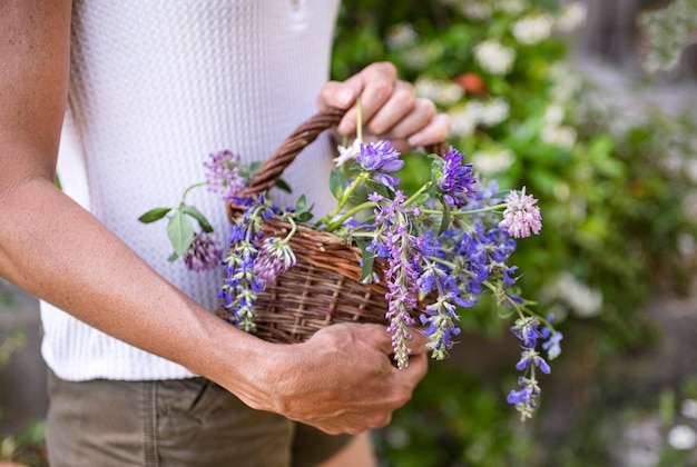 Foto cesto di fiori di campo per naturopatia e botanica