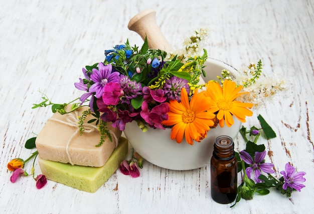 Wild flower and herb leaf in mortar