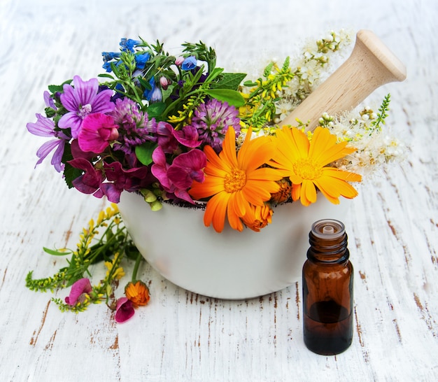 Wild flower and herb leaf in mortar