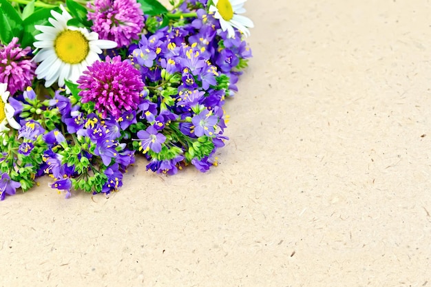 Wild flowers on brown paper