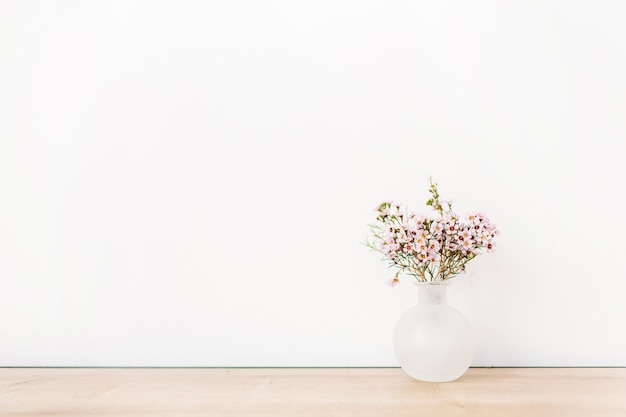 Wild flowers in front of white wall. Minimal composition