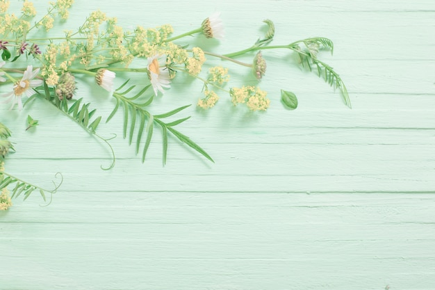 Wild flowers on green wooden background