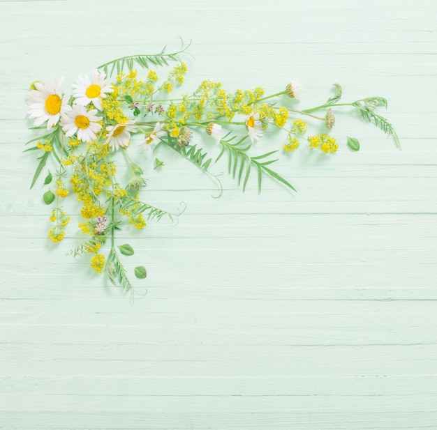 Fiori selvatici sulla superficie di legno verde