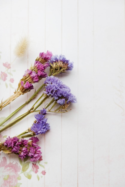 wild flowers on a light background 