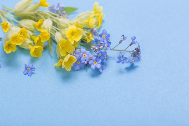 紙の背景に野生の花