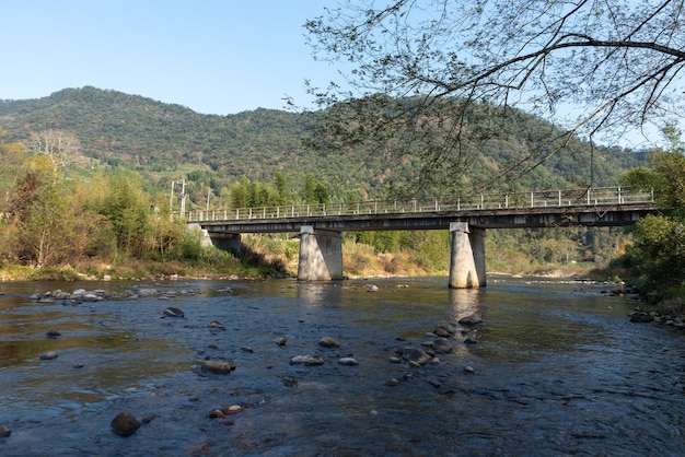 Wild forests and running water in the countryside