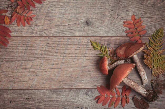 Wild fresh mushrooms on a rustic wooden table Orange Birch Bolete Copyspace Autumn background