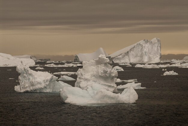 Foto selvaggio paesaggio ghiacciato penisola antartica antartide