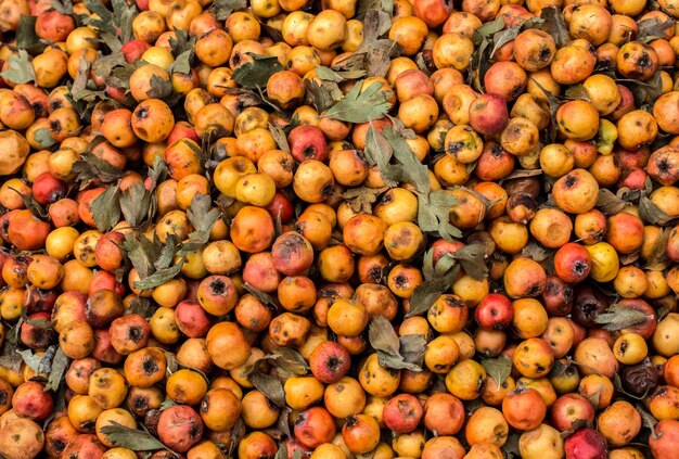 Wild fruit azarole mediterrane mispel verzameld en verkocht op de markt