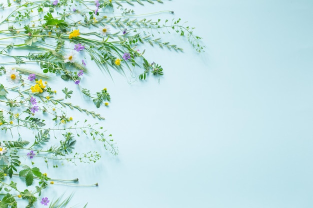 Wild gras en bloemen op Groenboek achtergrond