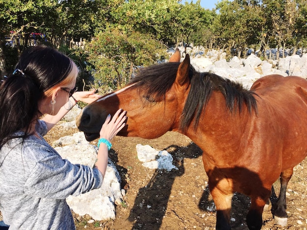 Photo wild horse wants to snuggle