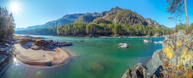 Wild Katun river in Altai mountains Siberia nature autumn view Panorama landscape