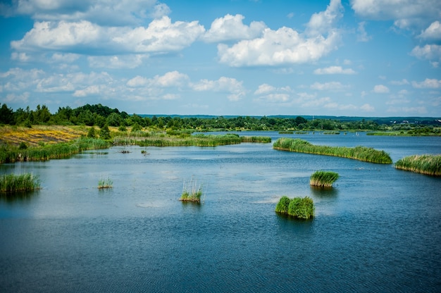 Wild lake in summer Blue sky and clouds