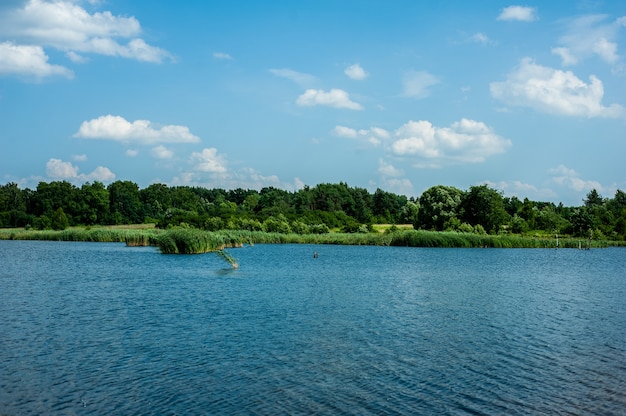 Lago selvaggio in estate cielo azzurro e nuvole