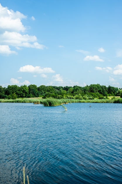 Wild lake in summer Blue sky and clouds