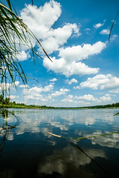 Wild lake in summer Blue sky and clouds