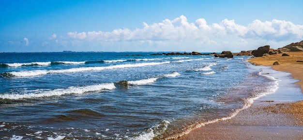 Wild leeg strand aan de zeekust