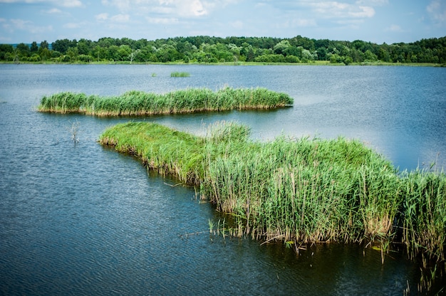 Wild meer in de zomer Blauwe lucht en wolken