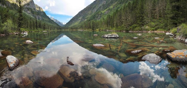 Wild meer in het Altai-gebergte, zomerochtend, weerspiegeld in het water