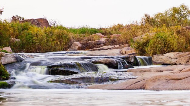 Wild Mountain River Flowing with Stone Boulders and Stone Rapids Rapid Splashing water in Creek Mountain stream in the autumn Abundant Clear Stream Tokiv canyon Ukraine