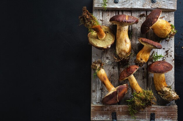 Photo wild mushrooms from forest ready for cooking on dark. view from above.