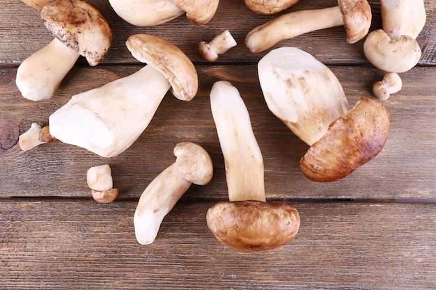 Wild mushrooms on wooden table