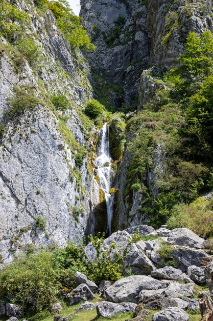 Photo wild natural mountain waterfall on grey rock stone and cliff local vegetation in french south pyrenees