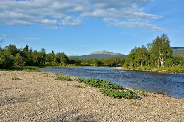 The wild northern river