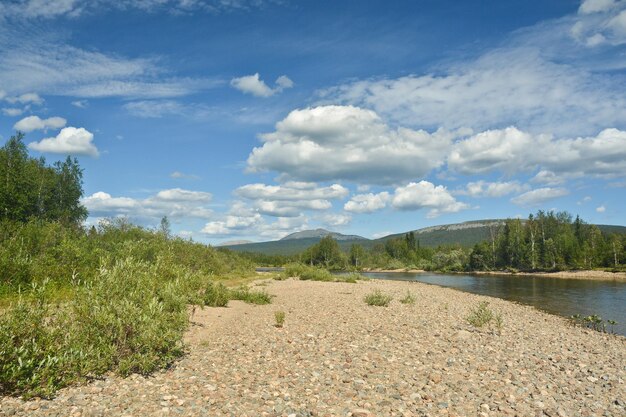 The wild northern river