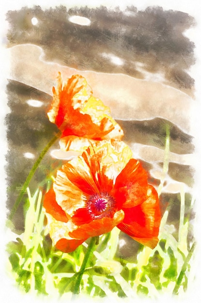 Wild poppy bloemen digitale aquarel